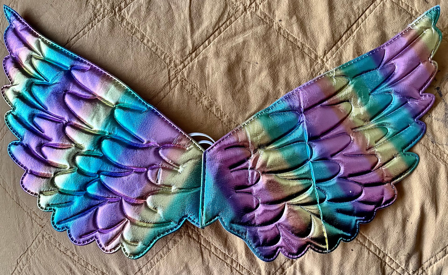 Fairy Wings