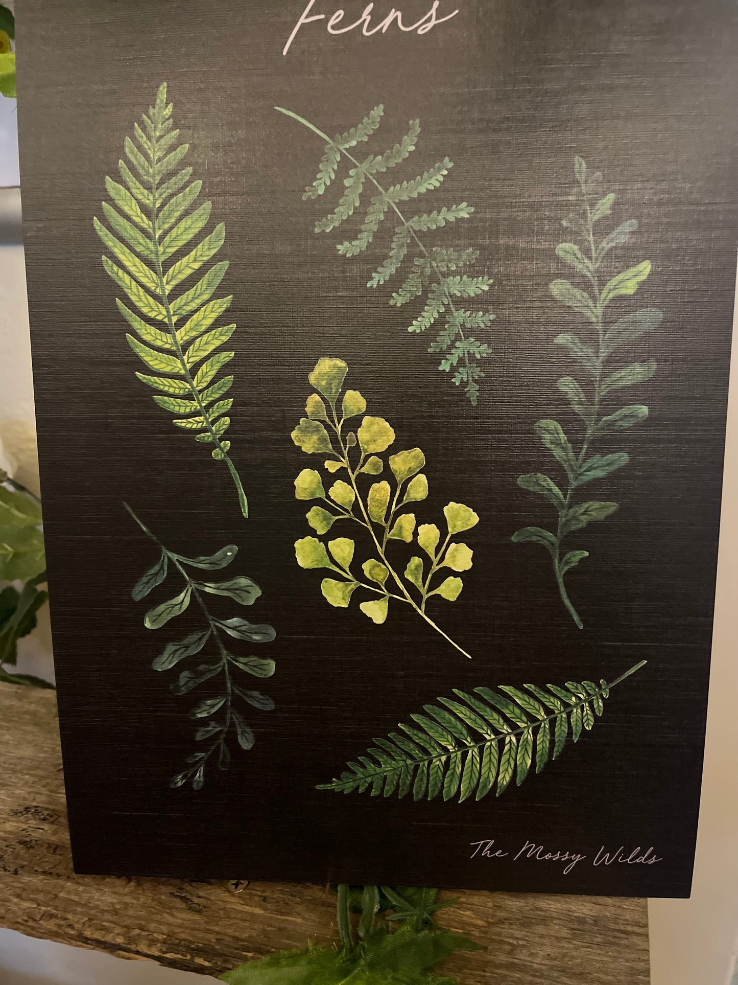 Ferns Artwork