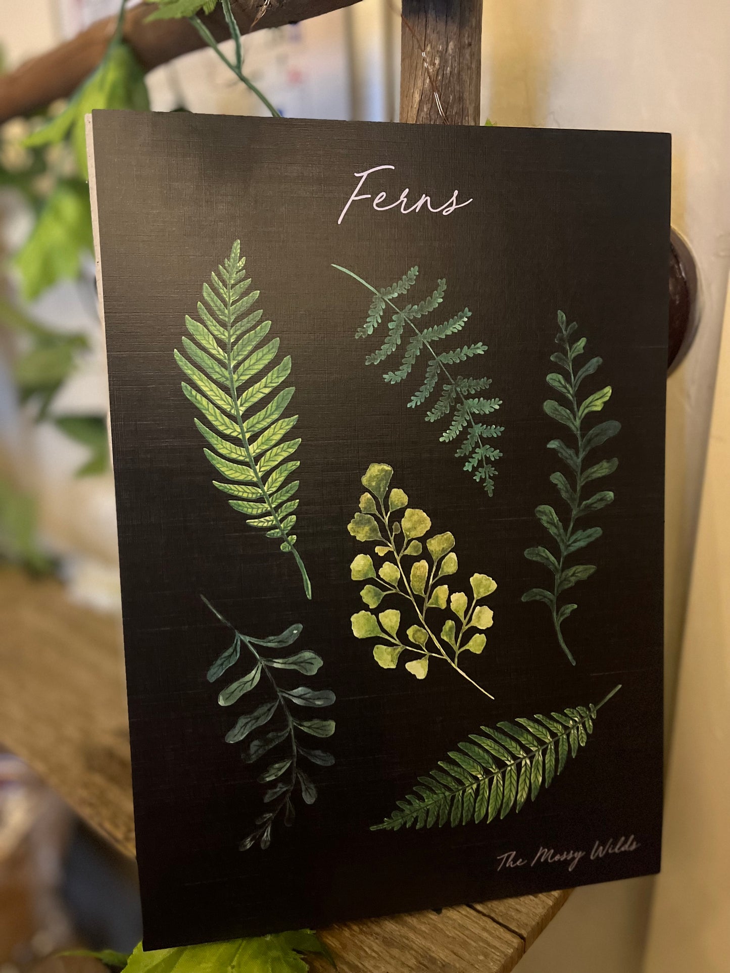 Ferns Artwork