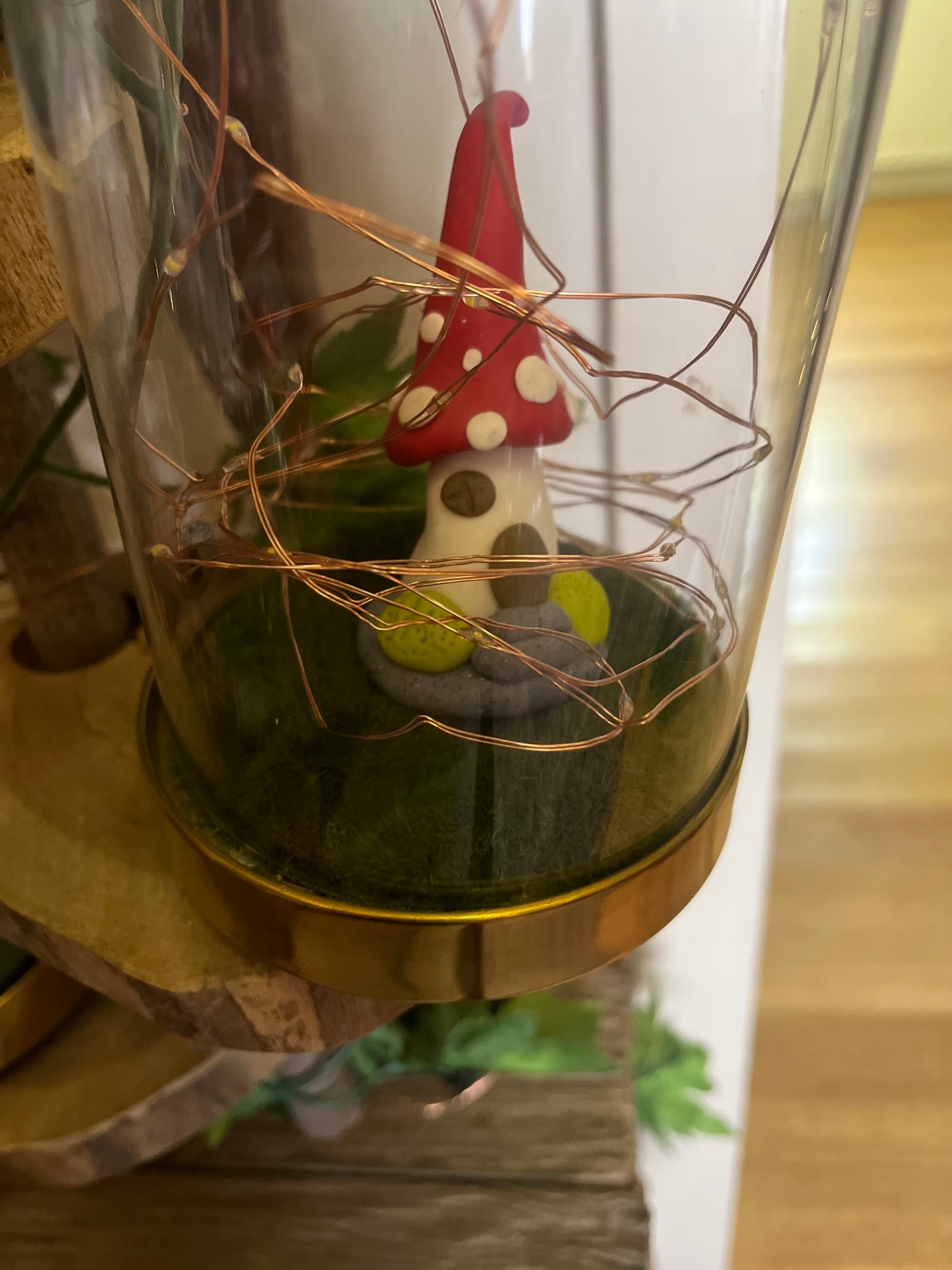 Mushroom Terrariums