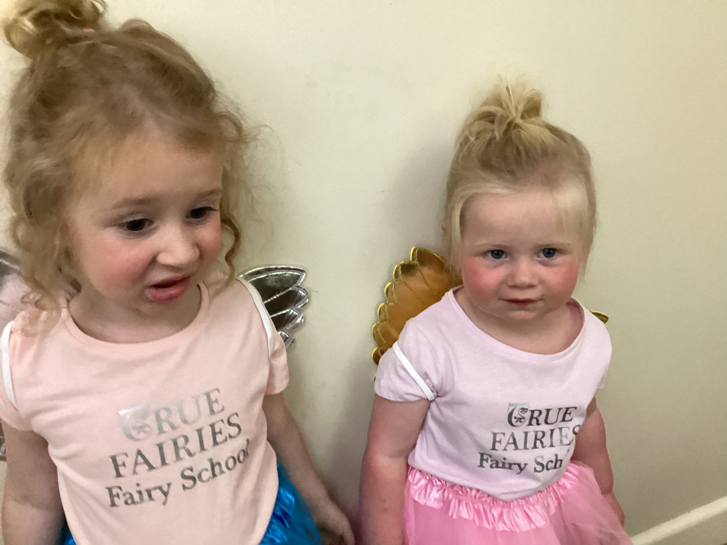 True Fairies Fairy School Tee’s