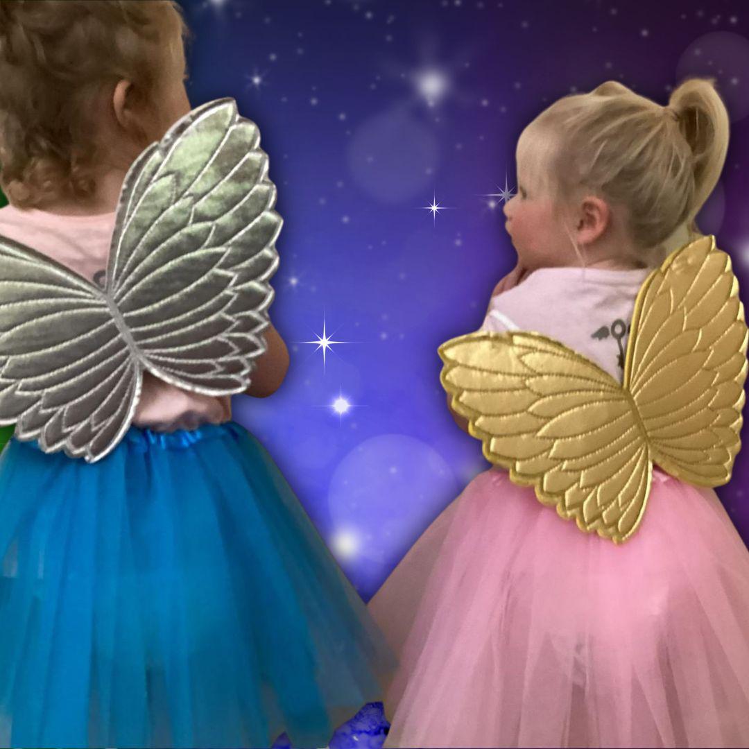 Fairy Wings