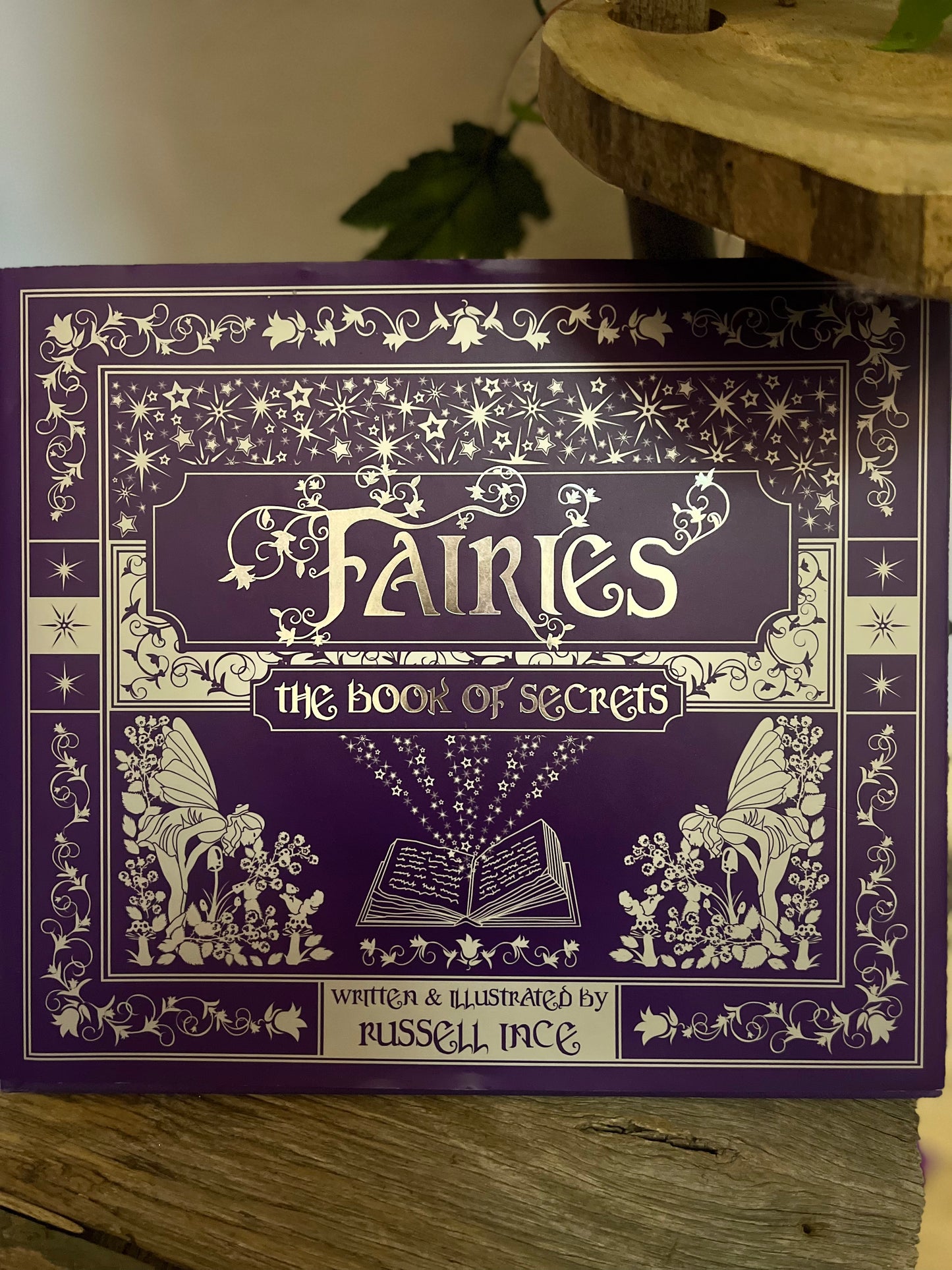 Fairies- the Book of Secrets